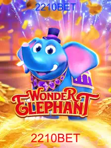 WonderElephant